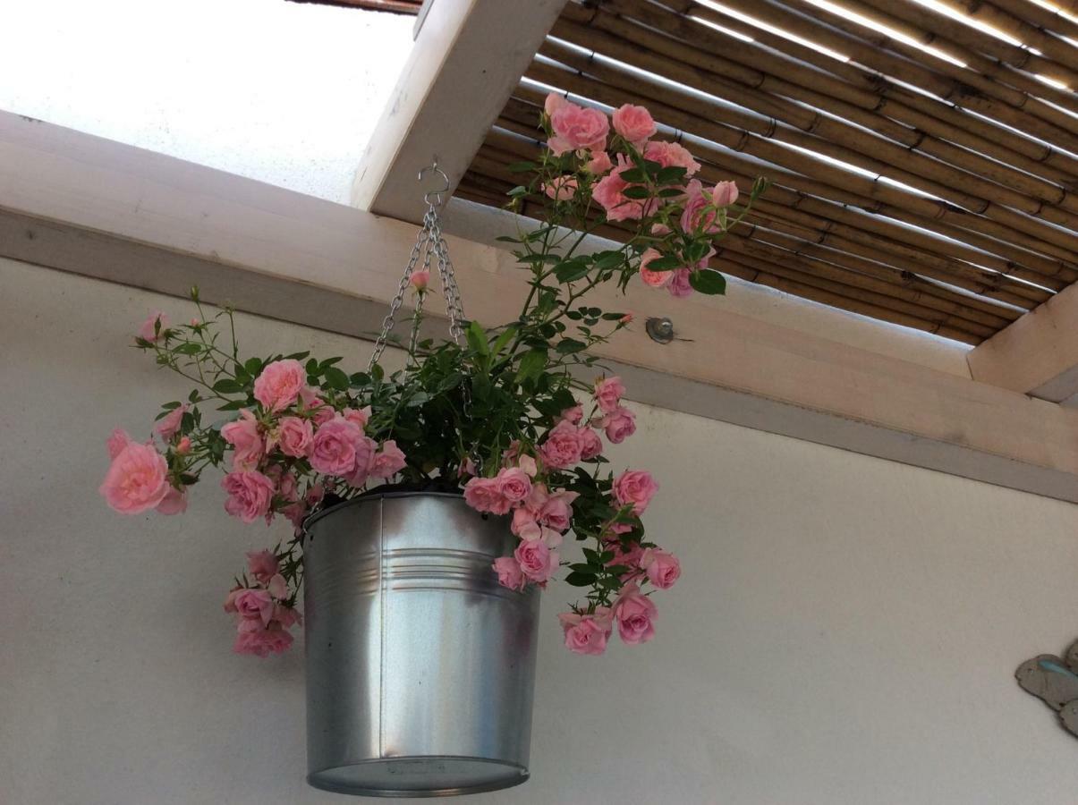 Bed and Breakfast 4 In Piazza Sorso Exteriér fotografie